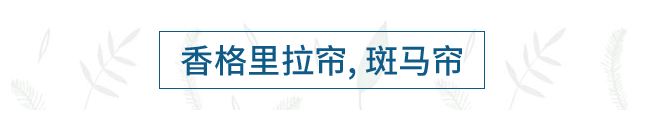 香格里拉帘