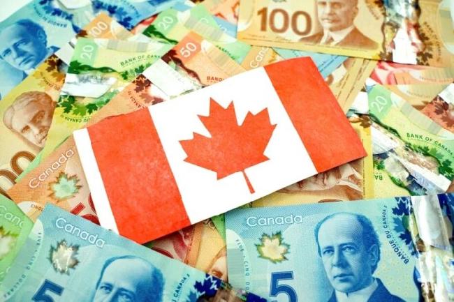 Important Canada Immigration News Today and Updates You Should Know