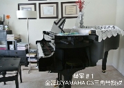 **RCM考官专授各科乐理及高级别钢琴**