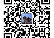 十多年的安省持牌教练，耐心专业，通过率高
