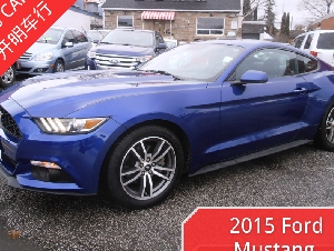 2015 Ford Mustang 2.3升涡轮增压发动机 蓝色跑车 一手车主 仅6.3万公里