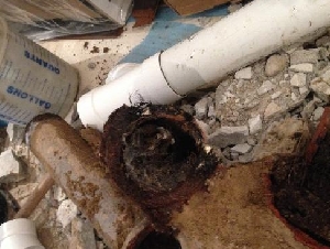 漏水、疏通管道，更换水龙头、sink盆，马桶/小修小补/室外泳池开关
