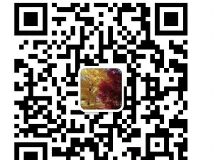 持电工,维修和煤气牌照，优质，诚信，公道，正规注册公司