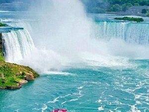 金熊猫车队入驻12年持A牌驾照专业机场接送赌场特价647-889-9678