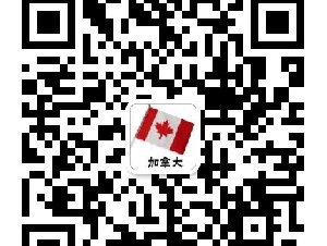 委托书、声明书、证书等各类海牙认证，持牌翻译，价格最优