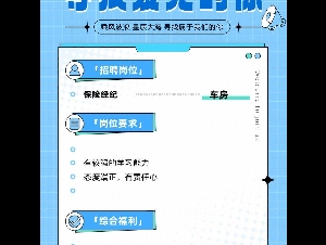 !!提供高性价比车房商业旅游人寿Wellcare Insurance保险团队