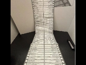 
                博励治补选：候选人名单超过200人，迫使选举局改变选票规则
            