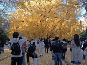 日本东大、京大4名校 留学生有6成是中国人