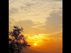 
                我花了28万美金，做了一场春秋大梦
            