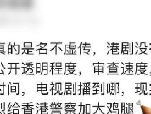 港剧照进现实:西九龙重案组在香港究竟啥地位?