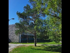 
                能劝一个是一个，没这个前提，千万别来加拿大
            