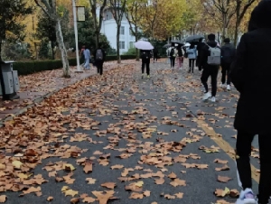 中国名校研究生学历越来越不值钱