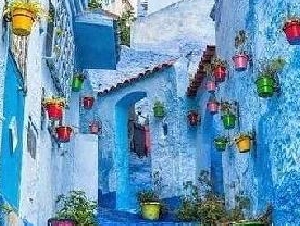 海外旅游-2025 年最新机票/邮轮/旅游信息