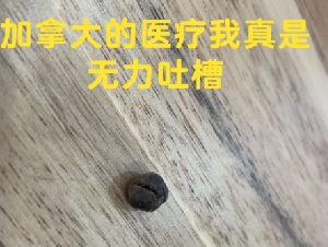 
                孩子淘气惹祸：照了X光医生竟这么说，好笑的是打个喷嚏好了
            