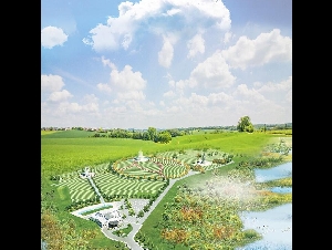 重阳节特惠 华人墓园-龙脉上的华陵列治文山墓园