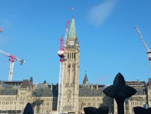 
                三位移民自述：来加十多年，学历身份到手，现实却逼他们离开
            