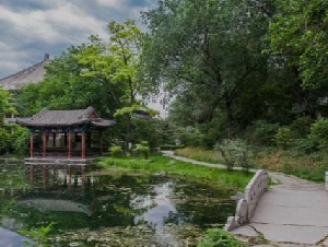 鸡娃失败 北大女博士发帖