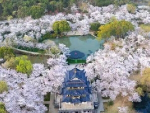 江苏臭名昭著的4所大学，连人民日报都点名