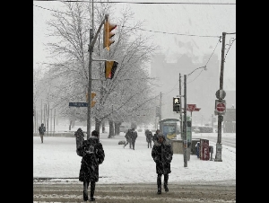 
                "极其混乱"!多伦多迎15cm大雪+冻雨+冰粒! Boxing Day出行打乱
            