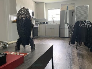 全球首富马斯克极简住宅曝光 母转发客厅照片