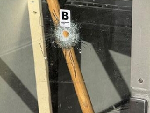 
                Thornhill拳击馆遭70发子弹扫射，老板刚参加游行
            