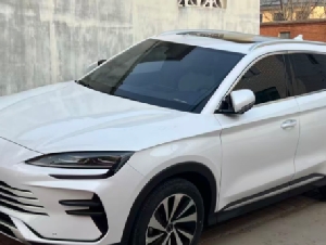 
                中国电动车堪比洪水猛兽：工资差10倍，加拿大如何竞争？
            