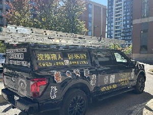 浣熊猎人【大多地区专业浣熊、松鼠、臭鼬、老鼠 、蜂、鸟、蚁、各类害虫防治与处理】