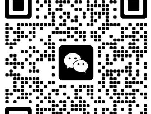 口译、文件翻译，持牌公证处及移民公司、海牙认证，价格最优