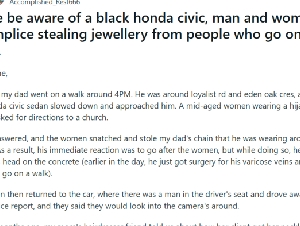 
                密西沙加男女同伙专盯散步者抢劫首饰：注意这辆黑色本田Civic
            