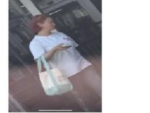 
                纽约华女涉跨国贩运亚裔女性 数十万进账仍领福利
            
